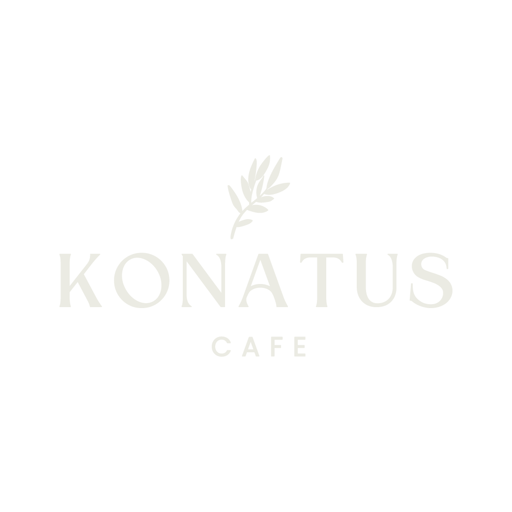 Konatus